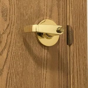 Meet your Posher, Austin